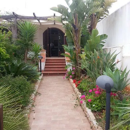 Le Palme San Vito Lo Capo
